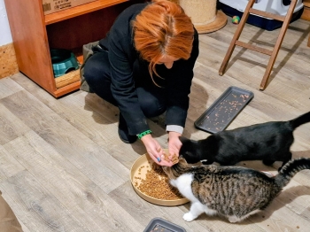 FB_IMG_1764498131852