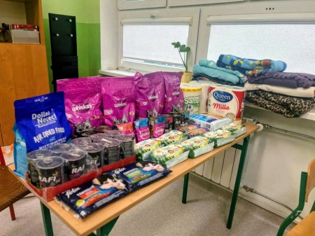 Siódemka dla Kotów z Promyka